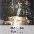 Baseline
Studies
